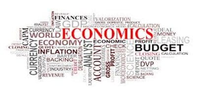 Help with economics paper