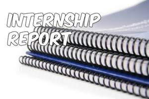 internship report writing help